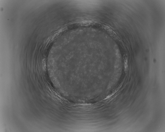 X0000066091204200604071748