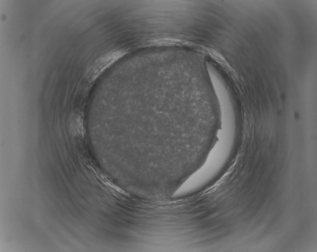 X0000066091209200604071748