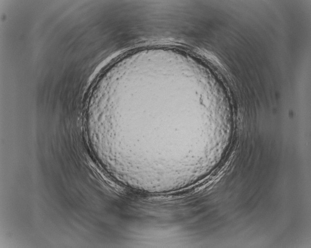 X0000066091212200604071748