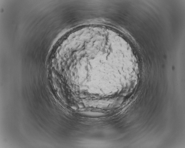 X0000066091224200604071748