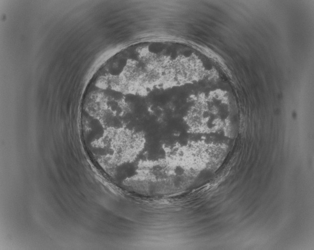 X0000066091231200604071749