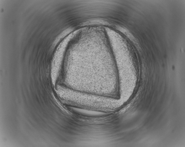 X0000066091233200604071749