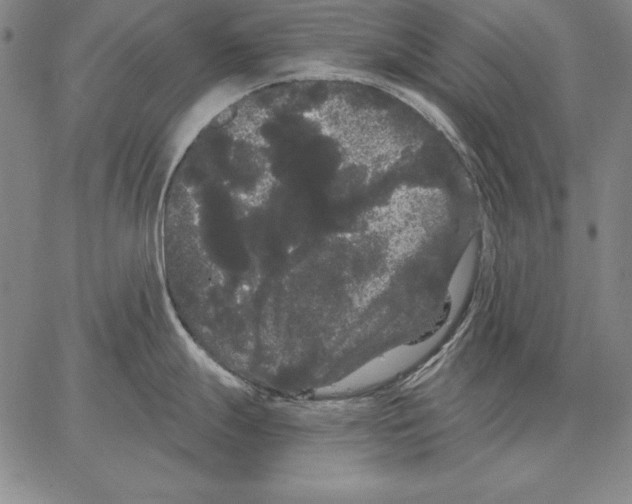 X0000066091247200604071749