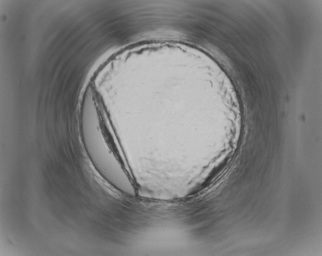 X0000066091248200604071749