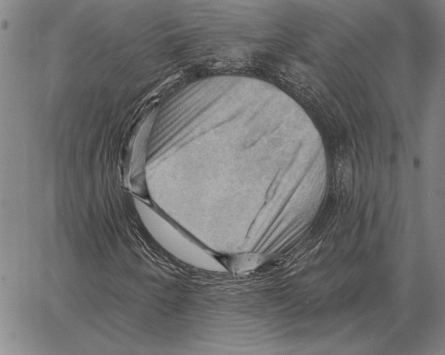 X0000066091250200604071748