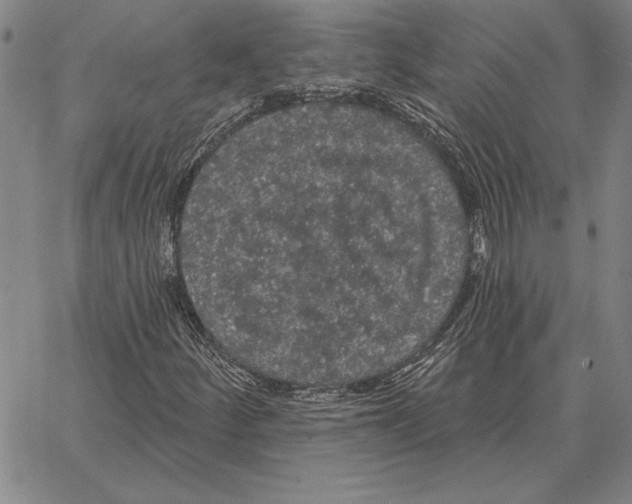 X0000066091252200604071748