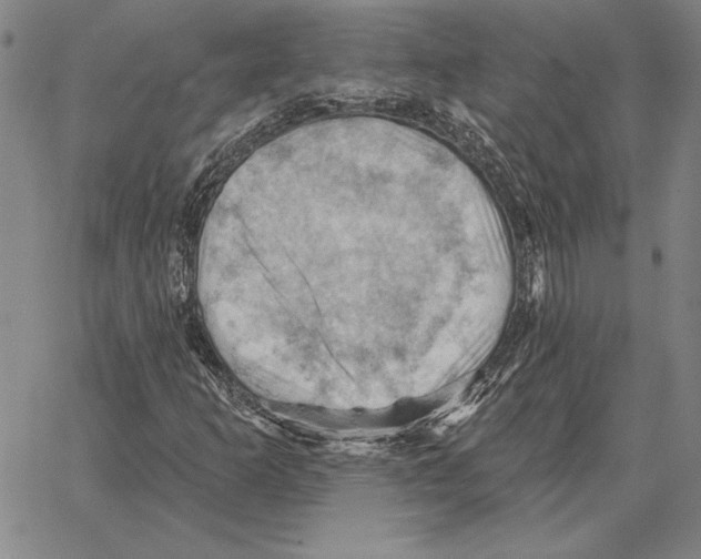 X0000066091253200604071748