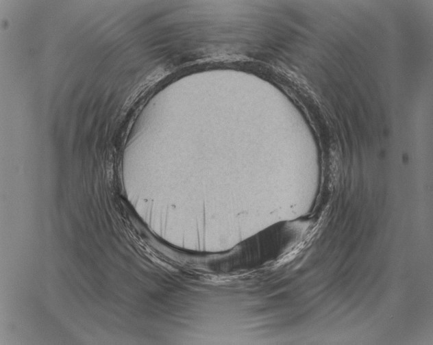 X0000066091257200604071748