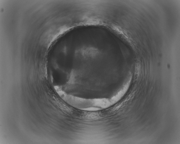X0000066091262200604071748