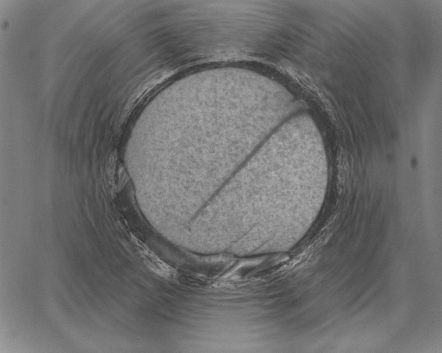 X0000066091265200604071748