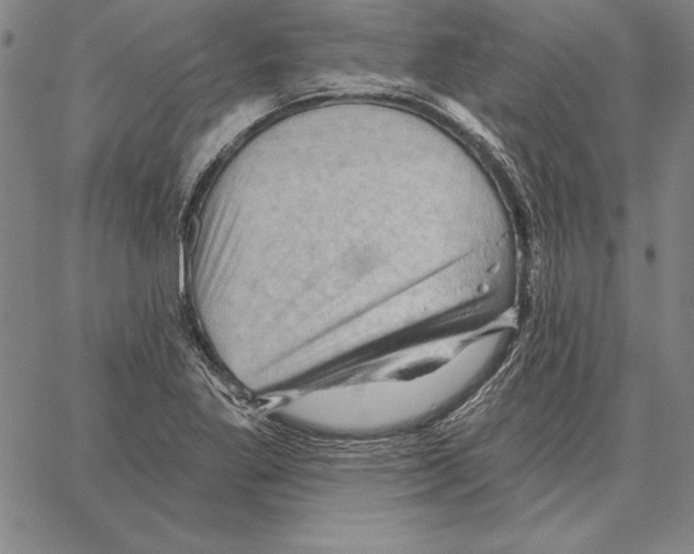 X0000066091269200604071748