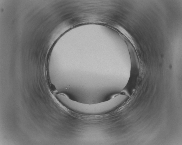 X0000066091293200604071747