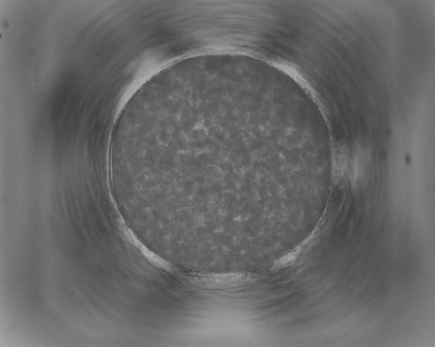 X0000066091294200604071747