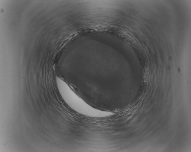 X0000066091298200604071746