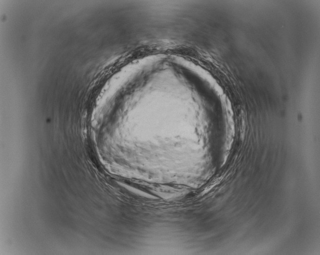 X0000066091301200604071746
