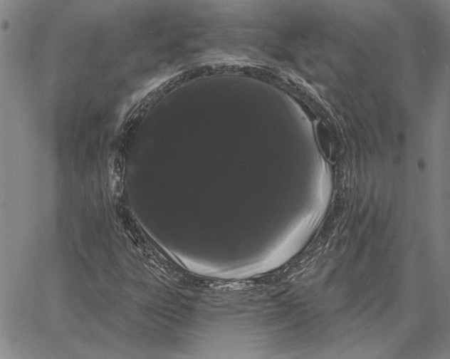 X0000066091303200604071746