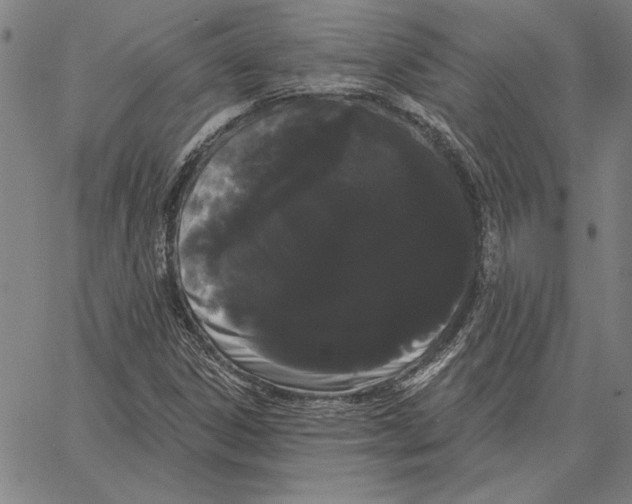 X0000066091306200604071747