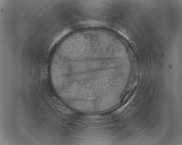 X0000066091309200604071747