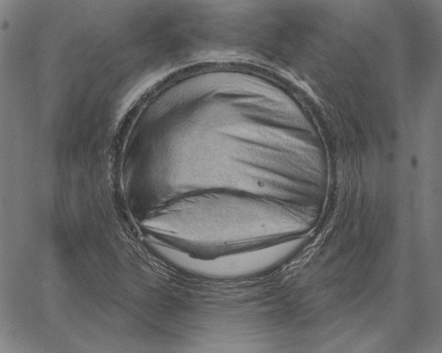 X0000066091311200604071747