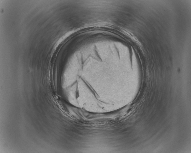 X0000066091316200604071747