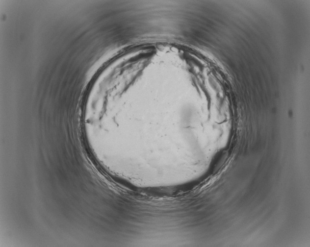X0000066091325200604071747