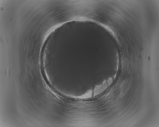 X0000066091327200604071747