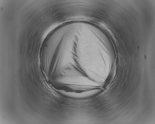 X0000066091328200604071747