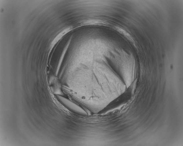 X0000066091330200604071747
