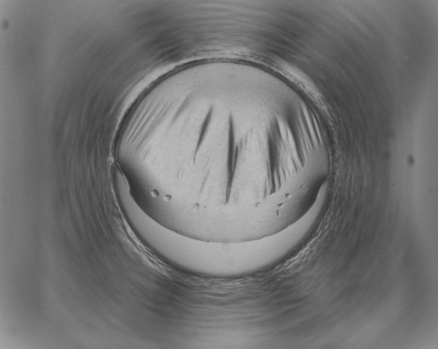 X0000066091332200604071747