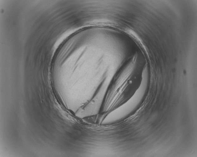 X0000066091336200604071747