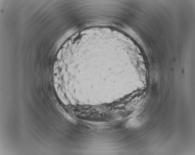 X0000066091337200604071747