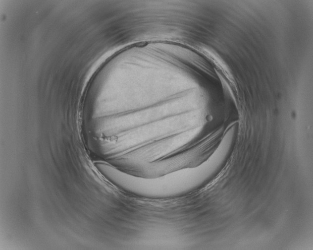 X0000066091340200604071747