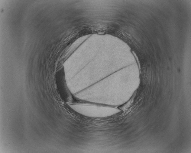 X0000066091345200604071746