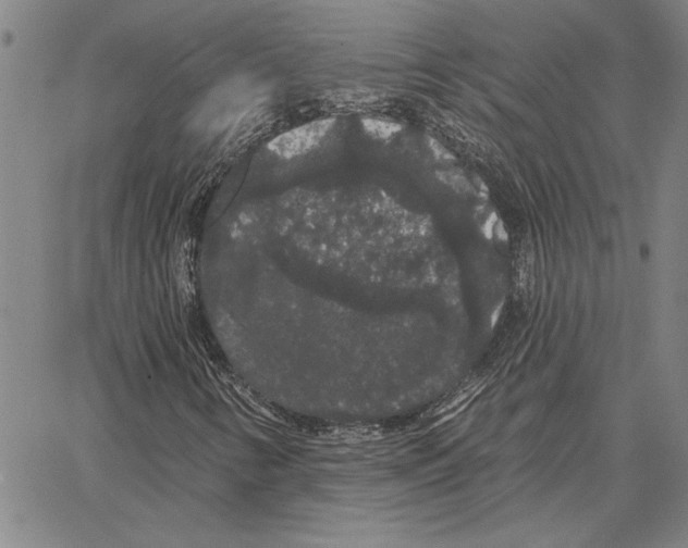 X0000066091346200604071746