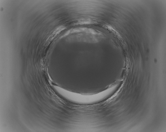 X0000066091353200604071746