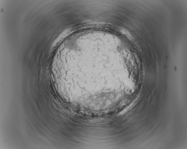X0000066091354200604071746
