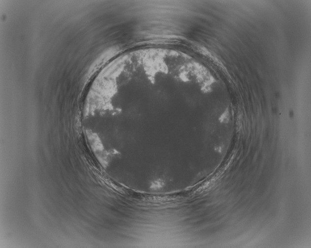 X0000066091362200604071746