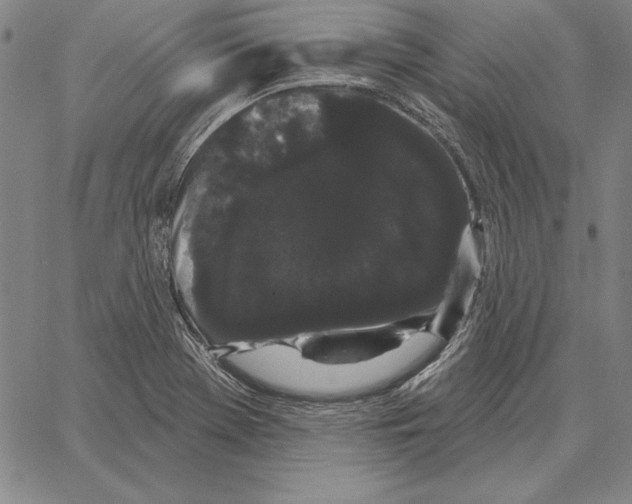 X0000066091369200604071746