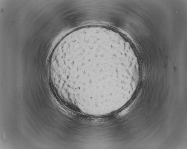 X0000066091371200604071746