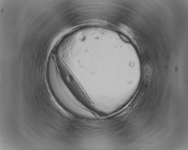 X0000066091379200604071746