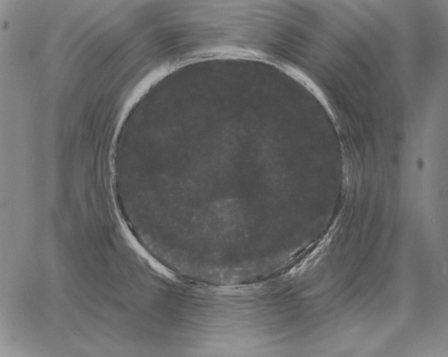 X0000066091381200604071746