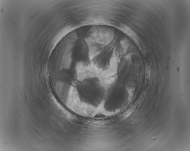 X0000066091382200604071746