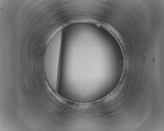 X0000066091385200604071746