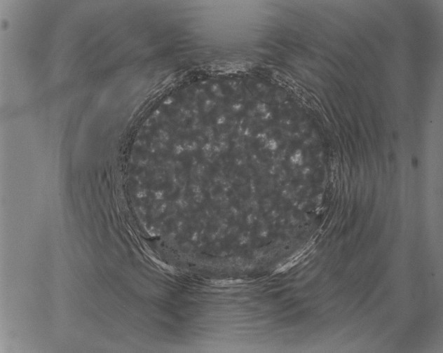 X0000066091393200604071745