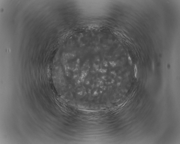 X0000066091395200604071745