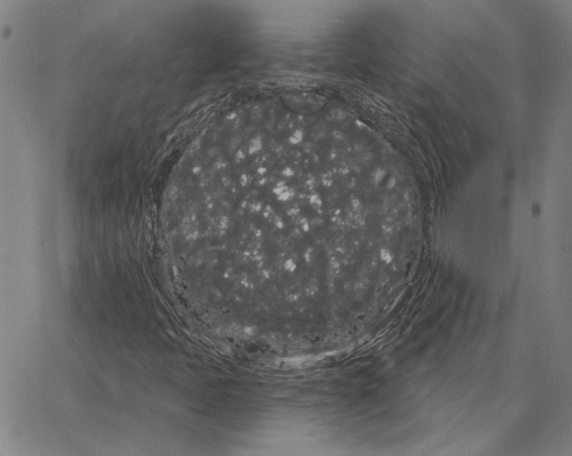 X0000066091397200604071745