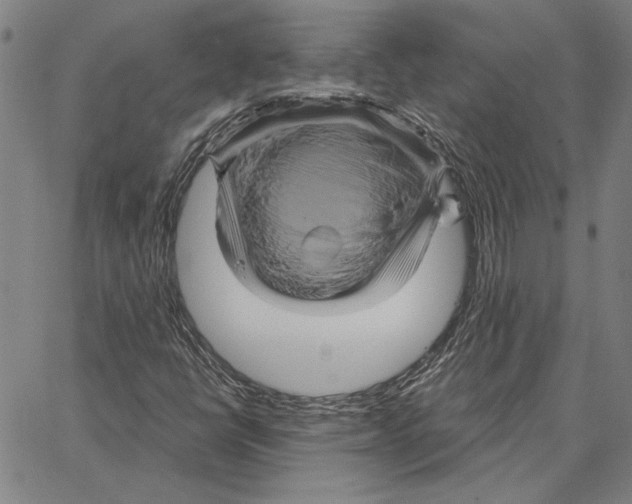 X0000066091398200604071745