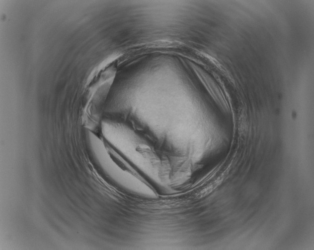 X0000066091402200604071745
