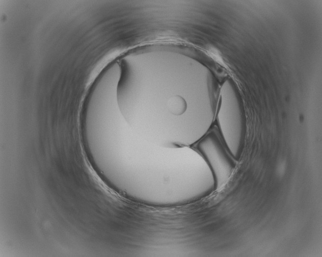 X0000066091422200604071745