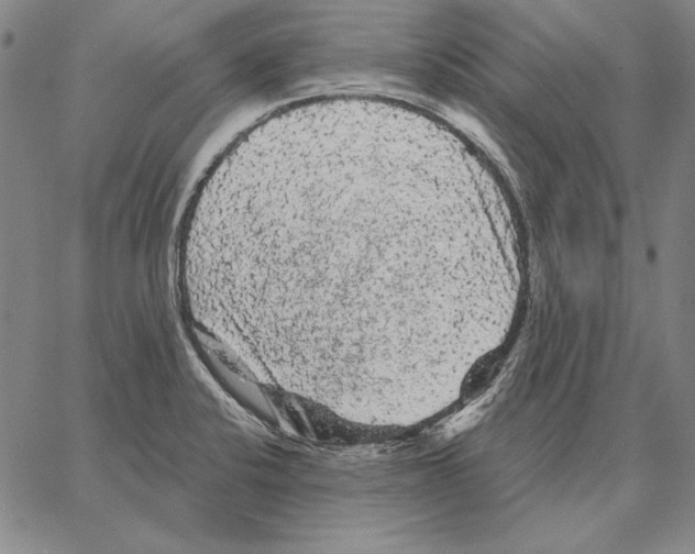 X0000066091424200604071745